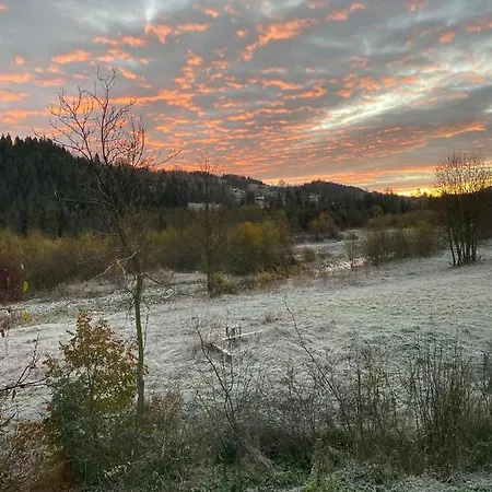 Goscinne Pod Jaworem - Obok Pieknego Szlaku Wzdluz Rzeki Bialka, 1km Do Stokow Kotelnica فندق مبيت وإفطار