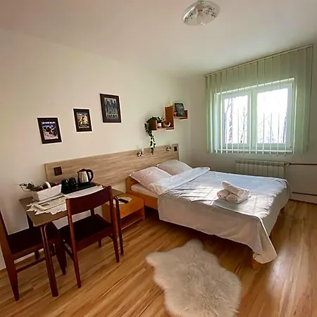 Goscinne Pod Jaworem - Obok Pieknego Szlaku Wzdluz Rzeki Bialka, 1km Do Stokow Kotelnica فندق مبيت وإفطار 3*