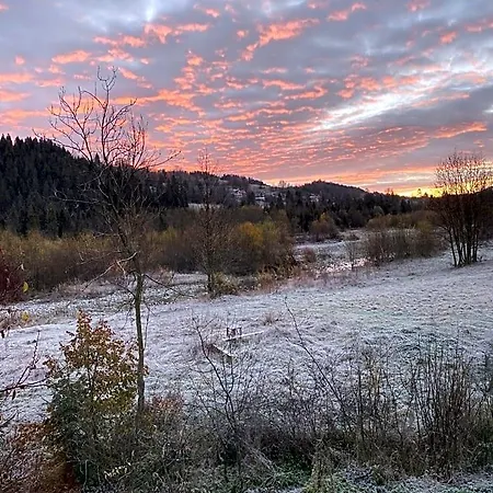 Goscinne Pod Jaworem - Obok Pieknego Szlaku Wzdluz Rzeki Bialka, 1km Do Stokow Kotelnica فندق مبيت وإفطار 3*